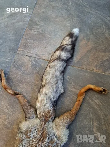 яка от лисица   25/4, снимка 3 - Шалове - 50295145