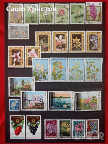 Пощенски марки тема ”Растения”., снимка 7 - Филателия - 45653043