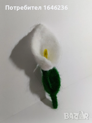 Брошки, снимка 2 - Други - 52247319