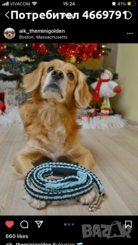 Повод (каишка) за куче, снимка 5 - За кучета - 52666846