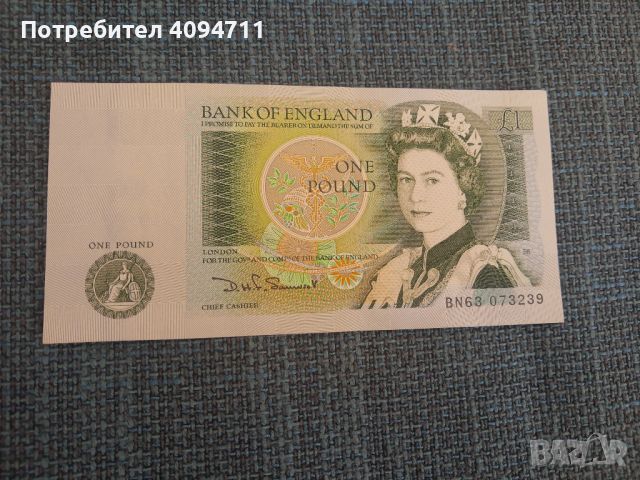 Elizabeth II One Pound , снимка 1 - Нумизматика и бонистика - 45693575