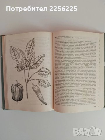Културните растения, снимка 7 - Специализирана литература - 51124615
