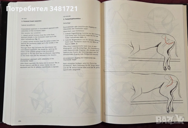 Atlas of Small Animal Surgery. Surgical Techniques for Practitioners, снимка 15 - Специализирана литература - 53748209