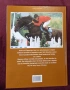 Конете и конните спортове / The Horse and Equestrian Sport, снимка 14