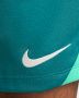 Мъжки Шорти Nike Dri-FIT Portugal Strike FJ2204-381, снимка 5