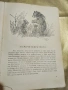Горски приказки - Оксана Иваненко, снимка 3