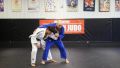 Джудо видео курс Elite Judo Basics By Nick Tritton, снимка 6