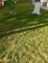 Косене на трева и райграс , снимка 2