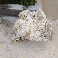 Продавам 2 големи камъка със дупки за Алпинеум  , снимка 2 - Градински мебели, декорация  - 45144684