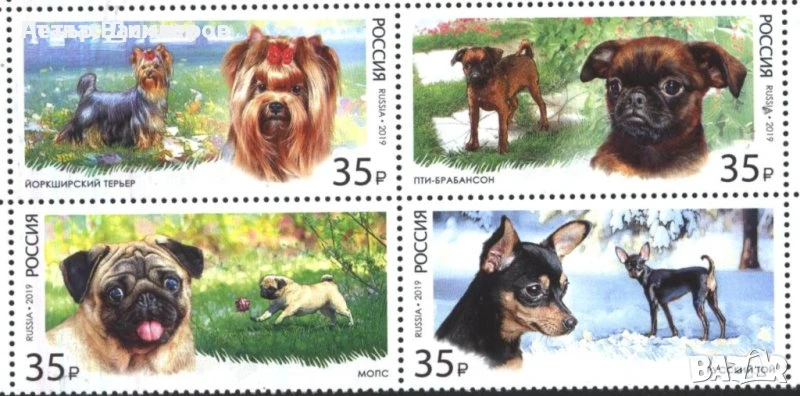 Чисти марки Фауна Кучета 2019 2002 от Русия, снимка 1