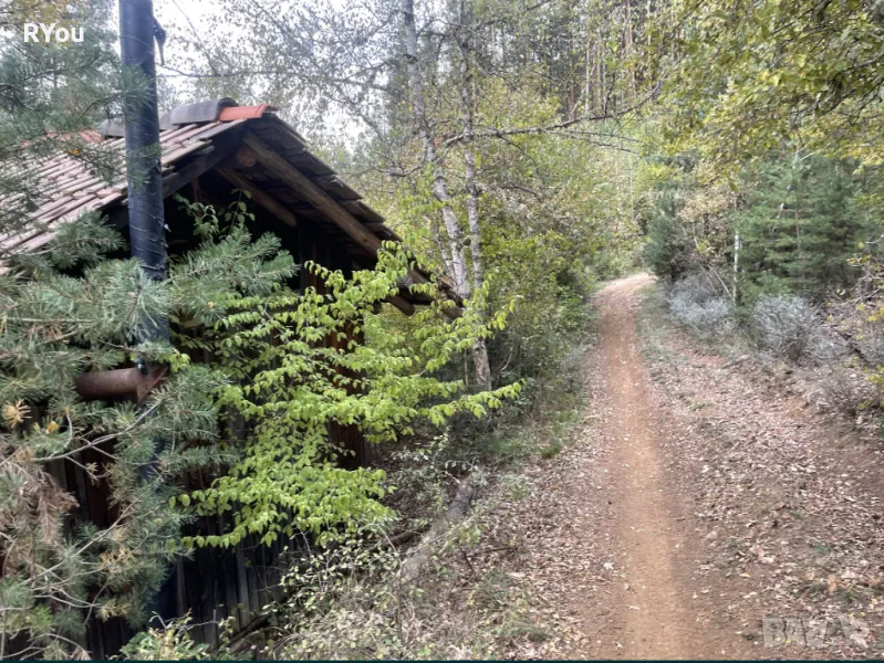 Вилна зона Дъбовец 5501 кв.м. минерален извор в имота общ. Банско замяна за двустаен апар в София, снимка 1