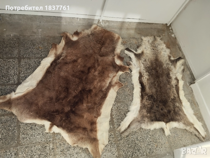 Естествени кожи големи , снимка 1