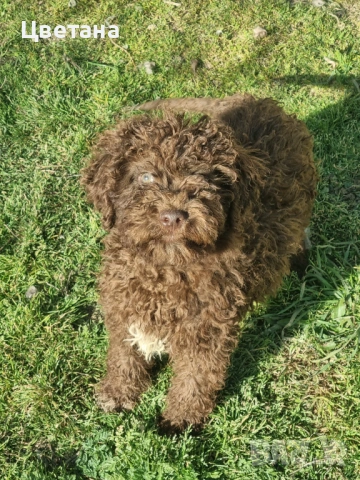 Лагото Романьоло, снимка 4 - Други - 53912287