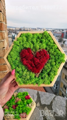 Пано шестоъгълник със скандинавски мъх , снимка 7 - Пана - 52117378