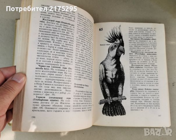 Домашна зоология-изд. 1983г., снимка 16 - Други стоки за животни - 46627125