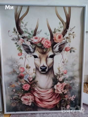 Коледна украса,коледни картини/фотография