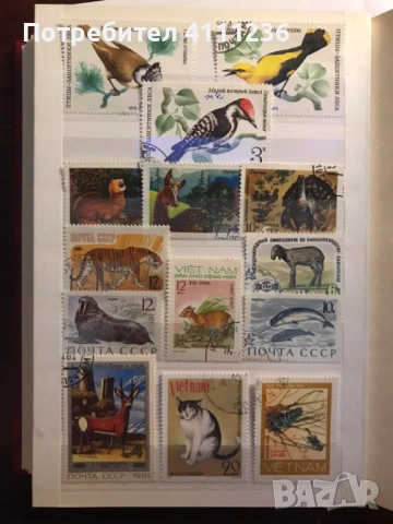 Класьор с марки предимно Фауна , снимка 17 - Филателия - 53513901