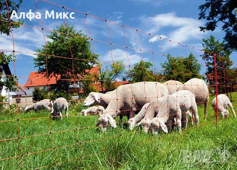  Мрежа за овце, 108 см  , Арт.№: 27254, снимка 3 - За селскостопански - 51352023