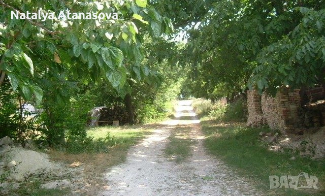 Парцел за продажба в Бдинци, Добрич