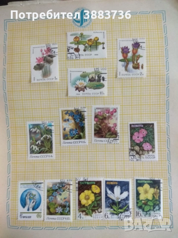 Колекция съветски пощенски марки 80 бр, снимка 6 - Филателия - 52721558