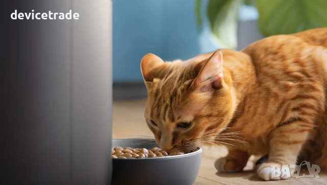 Интелигентна хранилка с камера Philips PAW5320/02, снимка 4 - Други стоки за дома - 51390377