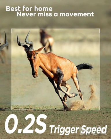 iZEEKER камера за проследяване, HD ловна камера с 940nm без подсветка, нощно виждане, снимка 3 - IP камери - 53664241