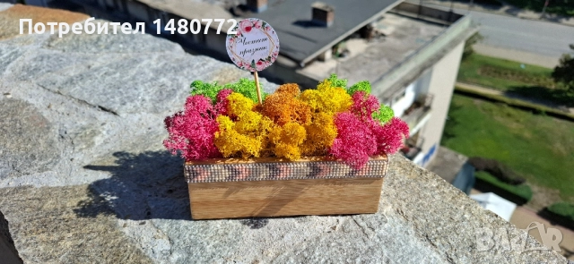 Малка бамбукова кашпа, снимка 3 - Декорация за дома - 51470258