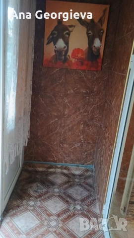 Давам боксониера кв Аспарухово център, снимка 3 - Апартаменти - 53508533