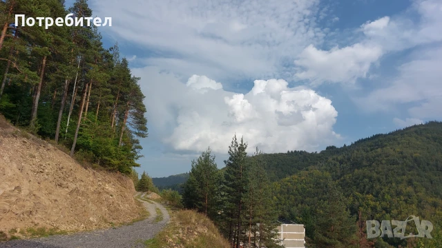 Къща за гости "Давидковска река", снимка 10 - Вили - 50903249