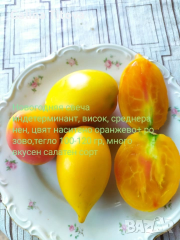 Продавам семена домати 55 сорта, снимка 10 - Сортови семена и луковици - 53097136