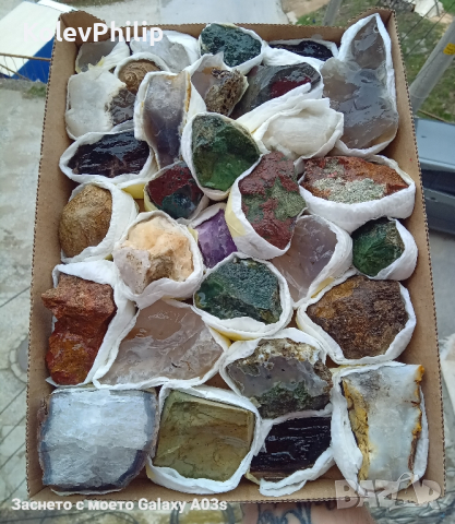 Кутия с минерали, фосили и вкаменени дръвчета , снимка 1 - Декорация за дома - 45024768