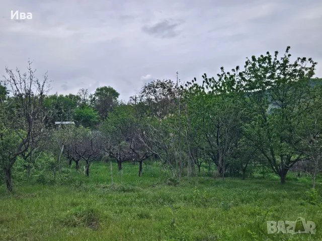 Панорамен парцел Средно Градище , снимка 5 - Парцели - 48529196