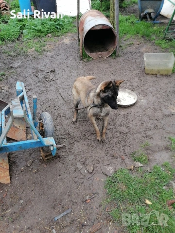 женско на 10 месеца 