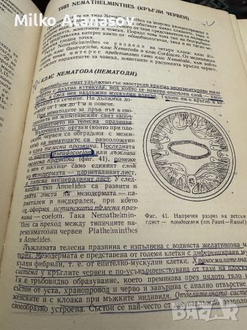 Паразитология -Р.Попиванов, снимка 6 - Специализирана литература - 45333788