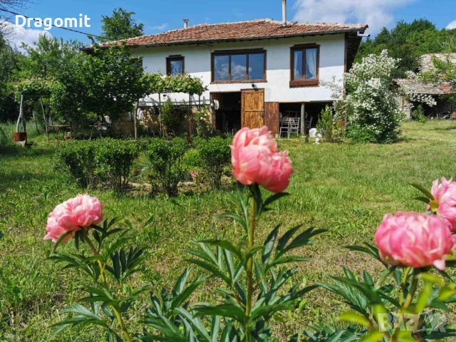 Имот в много добро състояние, снимка 6 - Парцели - 50598106