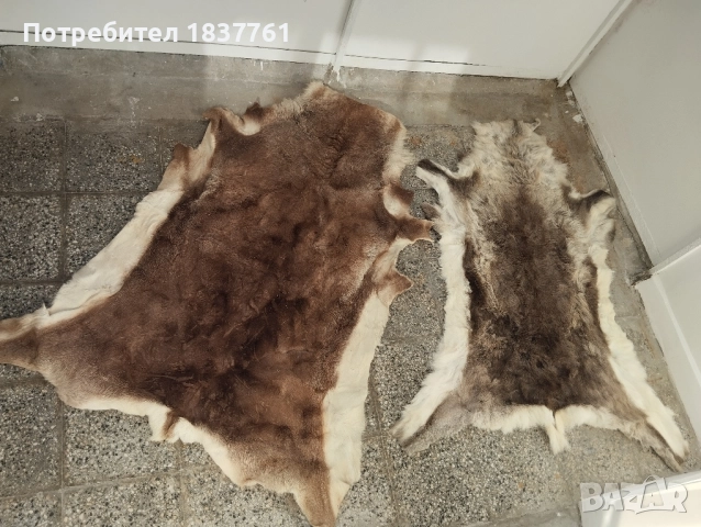 Естествени кожи големи 