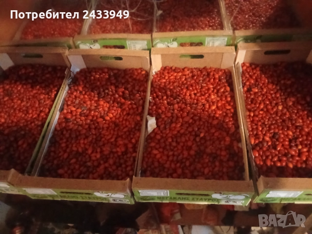 Продавам шипки еко район