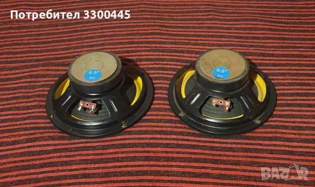 12" инча говорители и 6,5" инча говорители, снимка 6 - Тонколони - 53123255