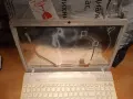 Sony Vaio PCG 61611M на части , снимка 2