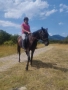 Ездитна кобила Марта, снимка 9
