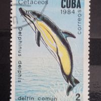 1984 г. Китове и делфини.  Куба., снимка 3 - Филателия - 45448705