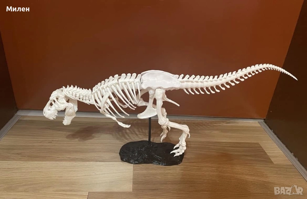 Тиранозавър Рекс , снимка 1