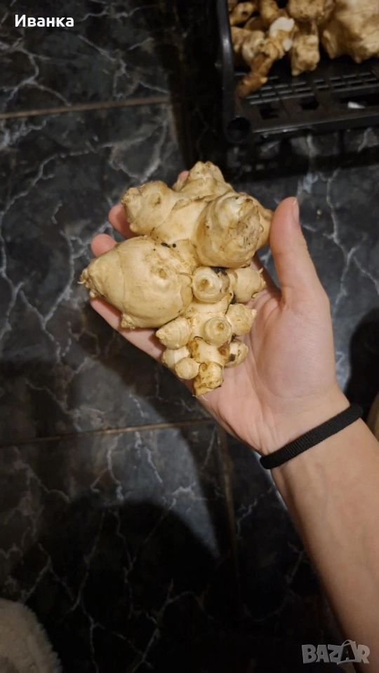 Продавам земни ябълки!, снимка 1