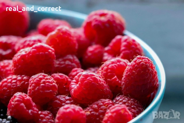 Само ЗА ЦЕНИТЕЛИ Уникален БИО разсад Ягоди и Малини, снимка 13 - Разсади - 53748363