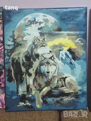 Ръчно рисувани картини по схема , снимка 12 - Картини - 52224901