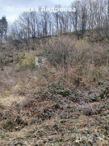 Къща с двор/1025м²/ в село Розово, снимка 3 - Вили - 54063756