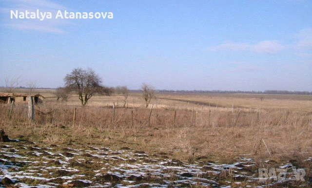 Къща за продажба в Рогозина, област Добрич, снимка 2 - Къщи - 53656407