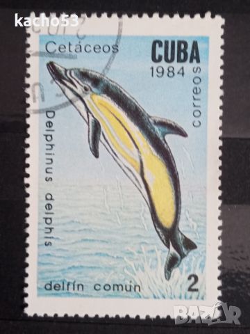 1984 г. Китове и делфини.  Куба., снимка 3 - Филателия - 45448705