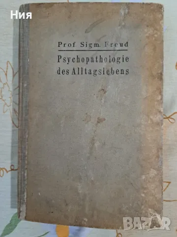 Зигмунд Фройд 1923 на немски език, снимка 1 - Чуждоезиково обучение, речници - 47086729