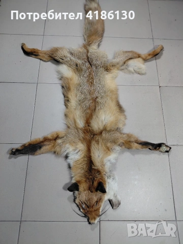 Кожа от лисица. 
